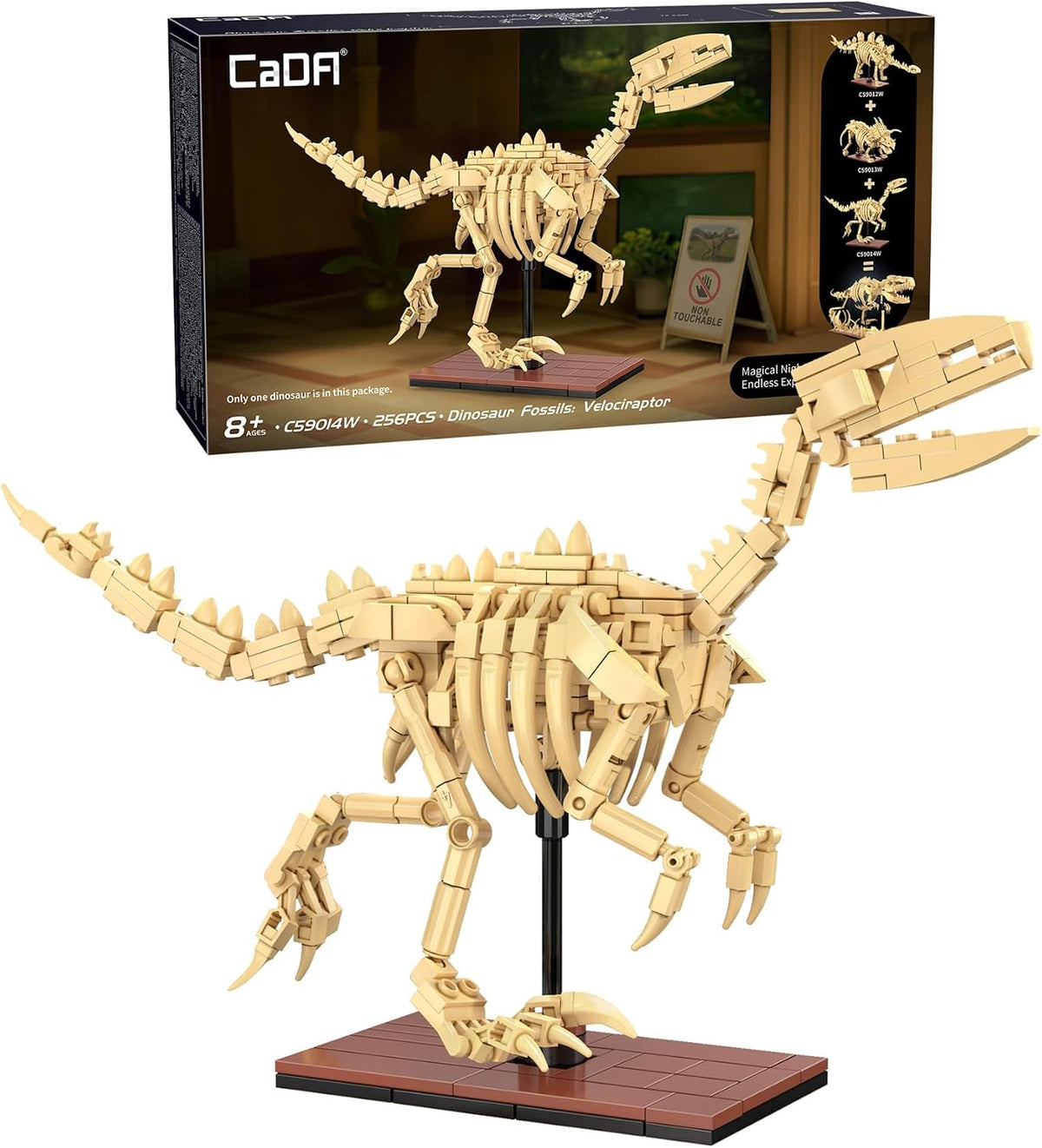 C59014W CaDA Dinosaur Fossils Velociraptor Scheletro di Velociraptor Costruire