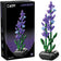 files/71ea49582f10bc57faba17069896.webp
