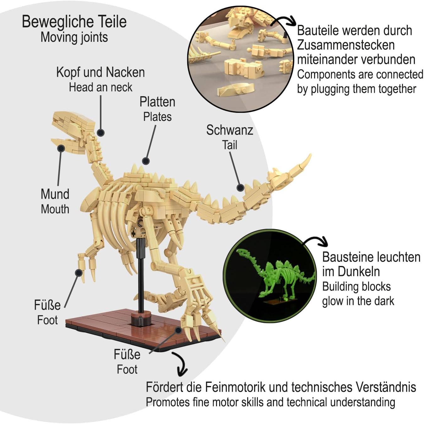 C59012W CaDA Dinosaur Fossils Stegosaurus Scheletro di Stegosauro da Costruire