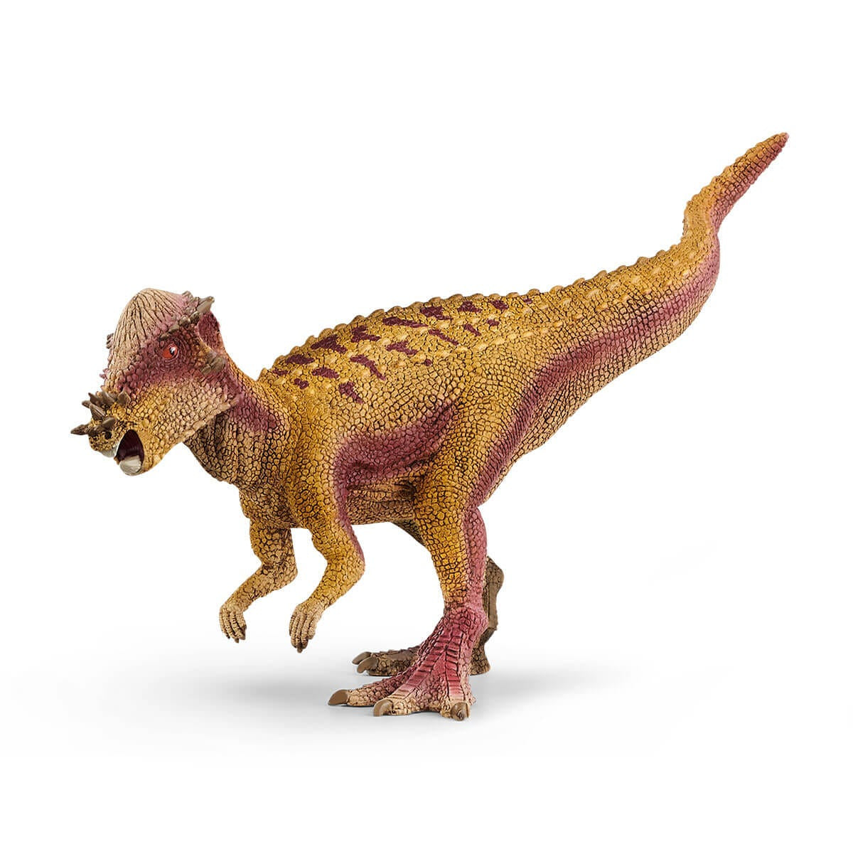 Dinosauri Schliech-S 15024 Pachycephalosaurus