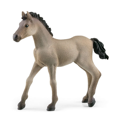 13949 Schleich Horse Club - Puledro Criollo Definitivo
