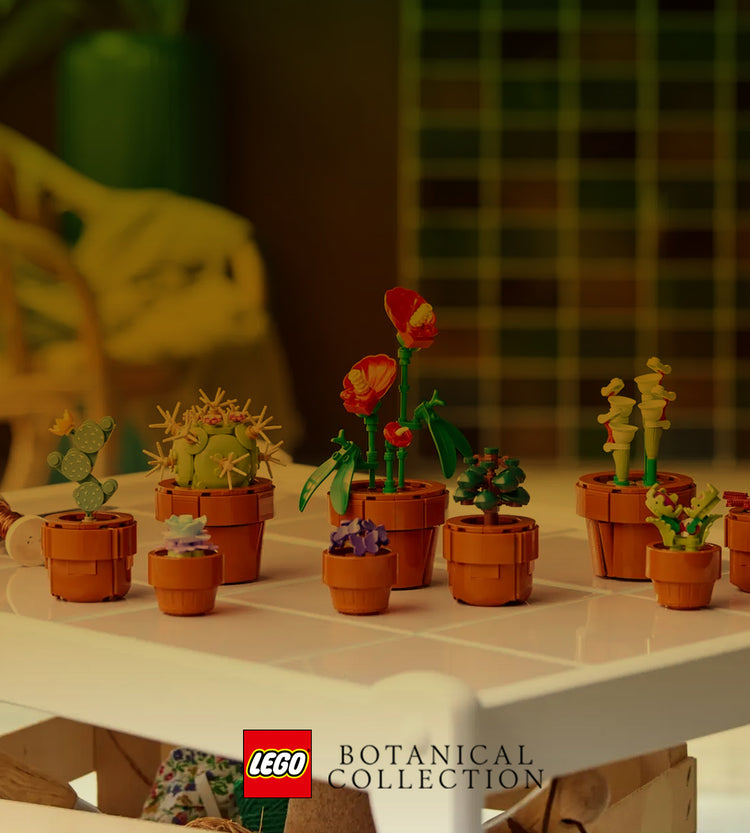 10314 LEGO BOTANICAL - Centrotavola di fiori secchi – Full Toys