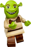MINIFIGURES 71053