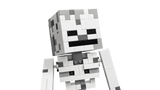 21594 Lego Minecraft Lo Scheletro