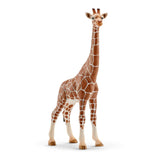 14750 Schleich Wild Life - Femmina di Giraffa