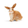 files/magBMaxRosatiWebeGraphicDesignsncdiMassimili_21951-177383-1.webp