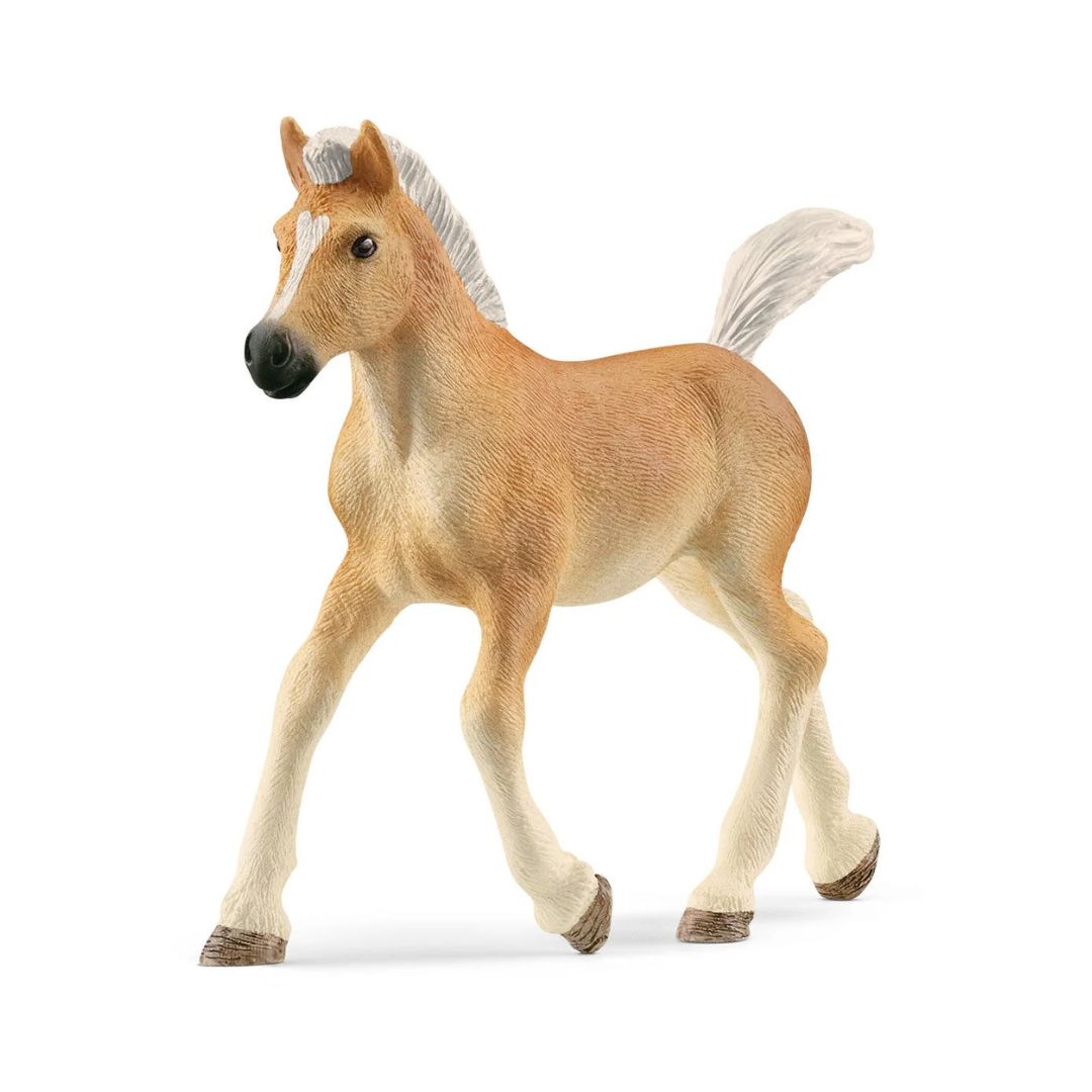 Horse Club Schleich-s - 13951 Puledro Avelignese