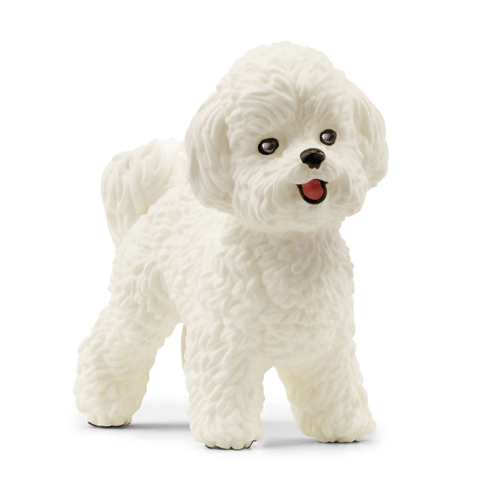 13963 Schleich Farm World - Bichon Frisé