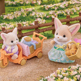 5698 Sylvanian Families - Set picnic al sole - Sorella e Bebè volpe Fennec