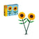 files/magBMaxRosatiWebeGraphicDesignsncdiMassimili_38154-183140-1.jpg