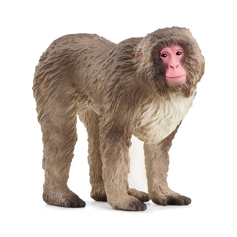 14871 Schleich Wild Life - Macaco giapponese