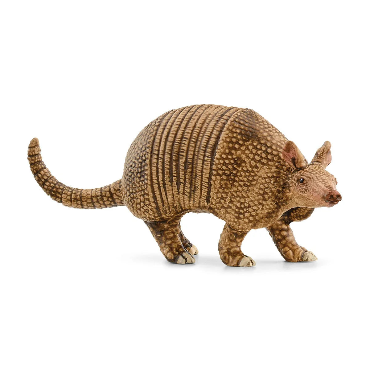 14874 Schleich Wild Life - Armadillo