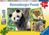 5666 Ravensburger - Panda, tigre e leone - Puzzle 3x49 pezzi