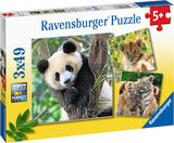 5666 Ravensburger - Panda, tigre e leone - Puzzle 3x49 pezzi