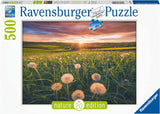 16990 Ravensburger PUZZLE ADULTI 500 pz Denti di leone al tramonto Nature collec