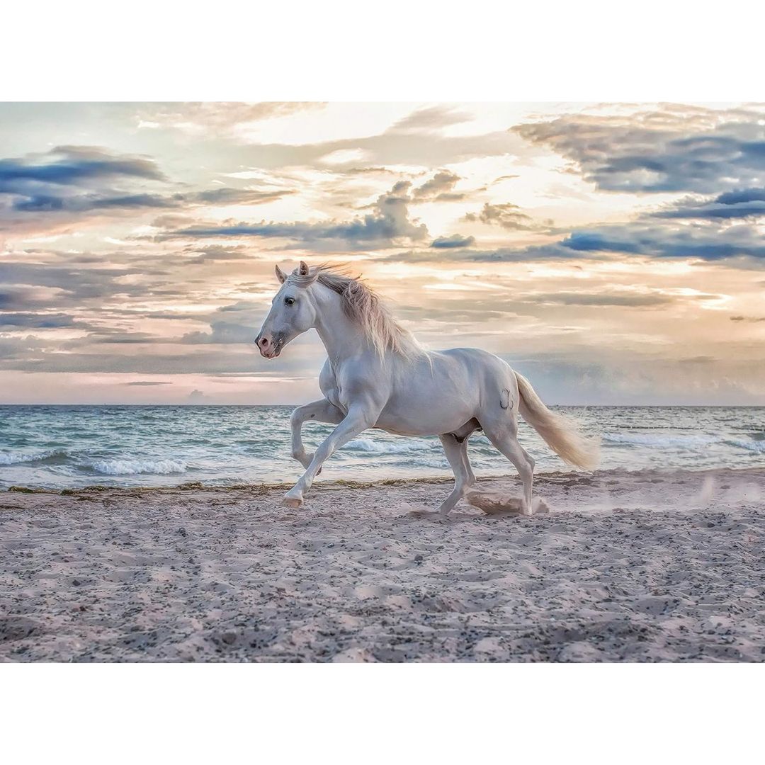 Ravensburger - Cavallo in spiaggia - Puzzle 500 pz