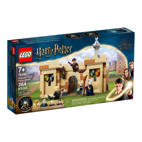 76395 LEGO Harry Potter - Poudlard : Première leçon de vol