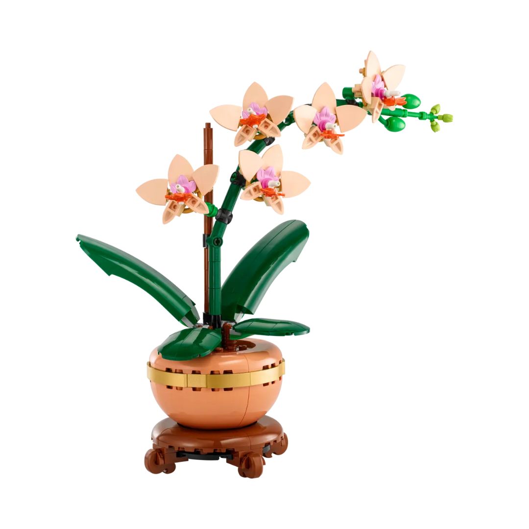 HOGOKIDS, set di bonsai con fiori di ciliegio, 2 in 1, pietre artificiali, decorazione per la casa, esposizione, creazioni con ciliegio, fiori botanici, giocattolo da costruzione, regalo di compleanno HOGOKIDS, set di bonsai con fiori di ciliegio, 2 in 1, pietre artificiali, decorazione per la casa, esposizione, creazioni con ciliegio, fiori botanici, giocattolo da costruzione, regalo di compleanno