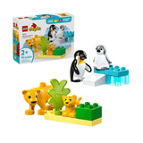 10442 LEGO Duplo Town - Famiglie di animali: pinguini e leoni