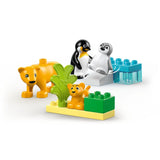 10442 LEGO Duplo Town - Famiglie di animali: pinguini e leoni