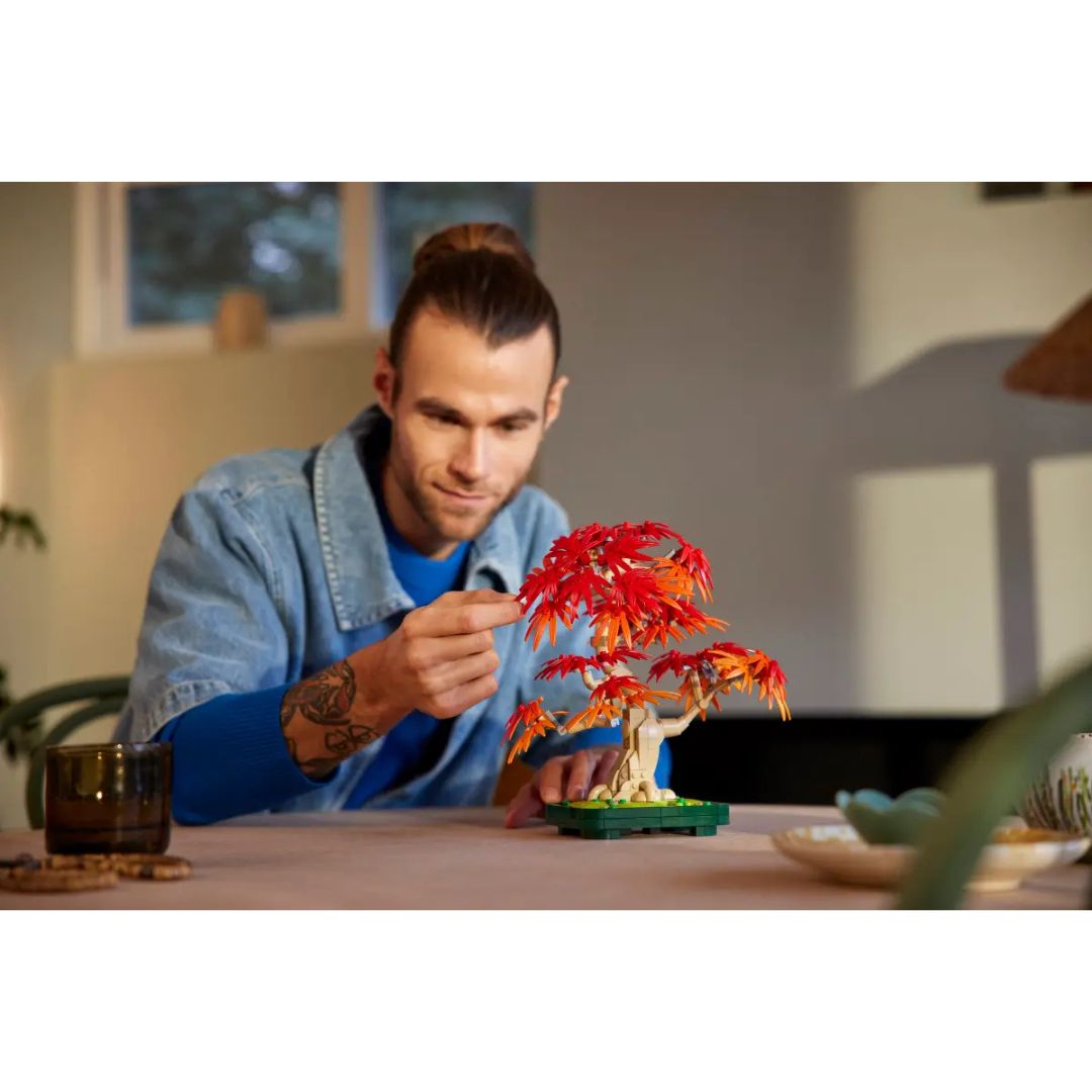 10348 LEGO Botanicals - Bonsai di acero rosso giapponese