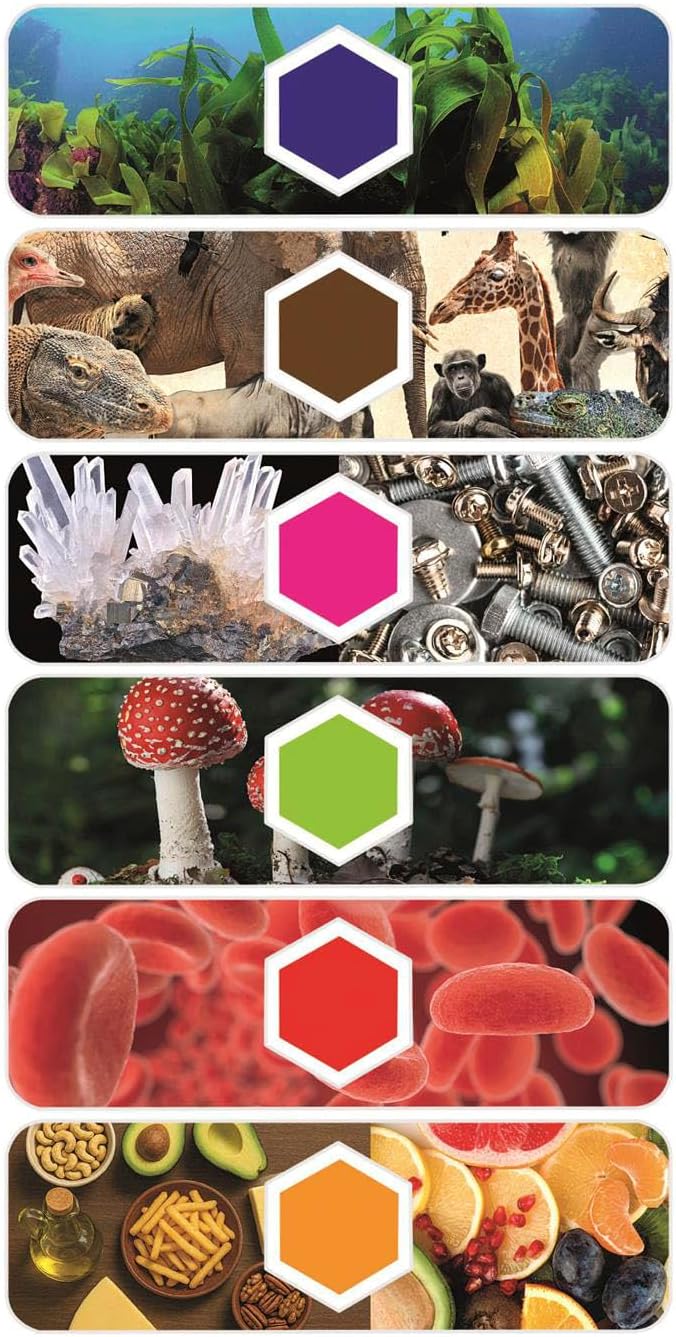 Clementoni Microscopio Smart AI 2in1 con Telecamera Wi-Fi | Microscopio Digitale