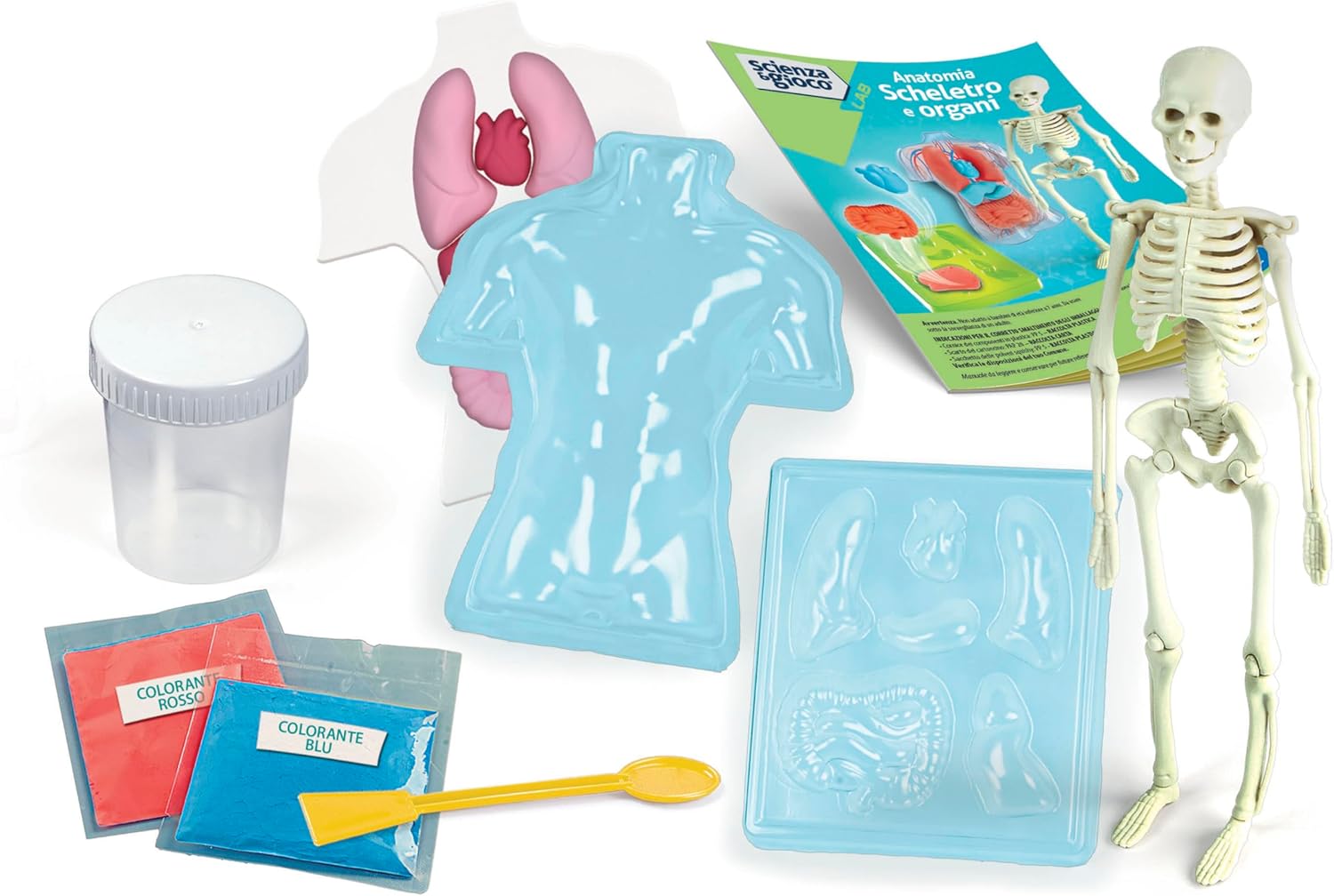 19414.8 Clementoni ANATOMIA SCHELETRO E ORGANI