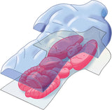 19414.8 Clementoni ANATOMIA SCHELETRO E ORGANI