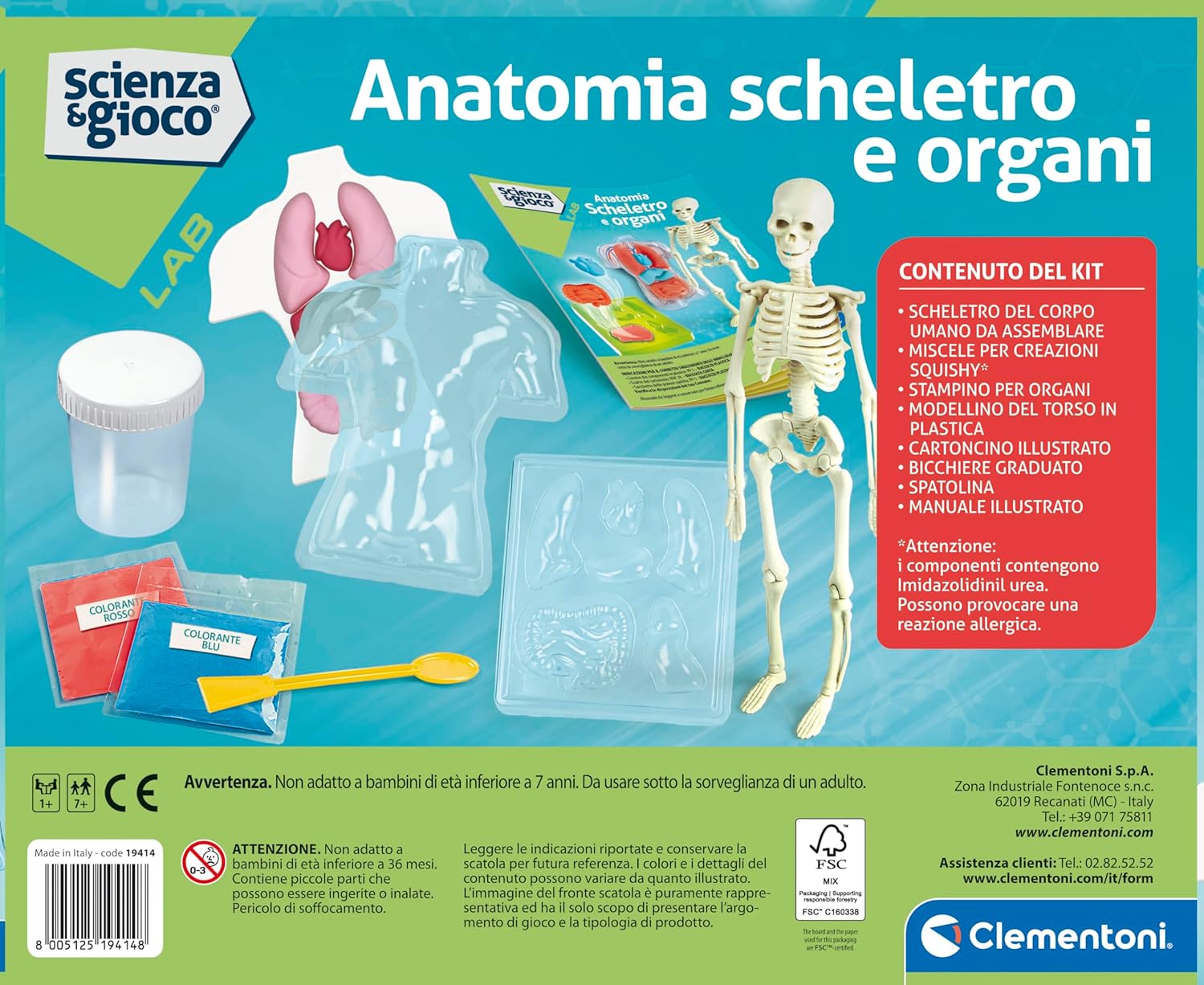 19414.8 Clementoni ANATOMIA SCHELETRO E ORGANI