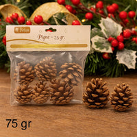 Pigne Naturali Decorazione Natalizia 75 g in Busta  DXQ23-003