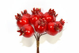Mazzo Bacche Rosse Decorative Natalizie 10 Pezzi 12 cm con Bacche da 3 cm,