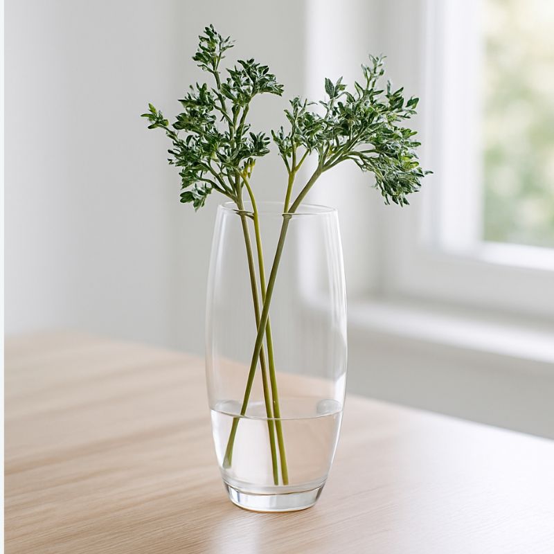 Vaso in Vetro per Amarillys 26 cm Elegante Contenitore Traspare 26CM13054-261