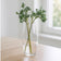 files/magBMaxRosatiWebeGraphicDesignsncdiMassimili_42492-185710-acquista_ora_2.jpg