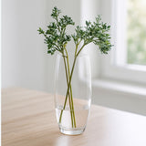 Vaso in Vetro per Amarillys 26 cm Elegante Contenitore Traspare 26CM13054-261