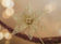 files/magBMaxRosatiWebeGraphicDesignsncdiMassimili_42525-198530-868e52ea079e5e72cd04d3ad9f9b8ffd.jpg