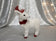 files/magBMaxRosatiWebeGraphicDesignsncdiMassimili_42538-187824-dde46e3edfc77f3790760ed508a10c5a.jpg