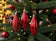 files/magBMaxRosatiWebeGraphicDesignsncdiMassimili_42550-186361-download-1.jpg