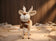 files/magBMaxRosatiWebeGraphicDesignsncdiMassimili_42569-187795-befe2511cdafcf791abadd50af08a26b.jpg