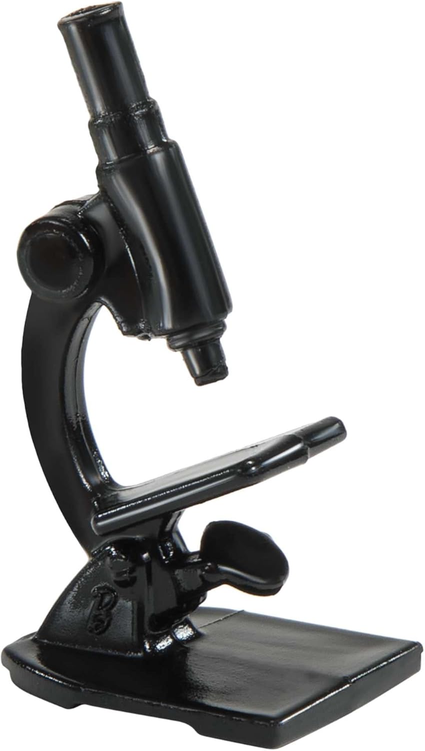 Barbie Carriere Barbie Pop Star con Microfono  Capelli Rosa e Outfit Scintilla