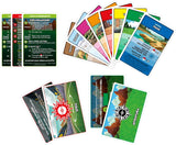 Play-Doh Starter Set  Con 9 Attrezzi Creativi e 4 Vasetti di Pasta da Modellare