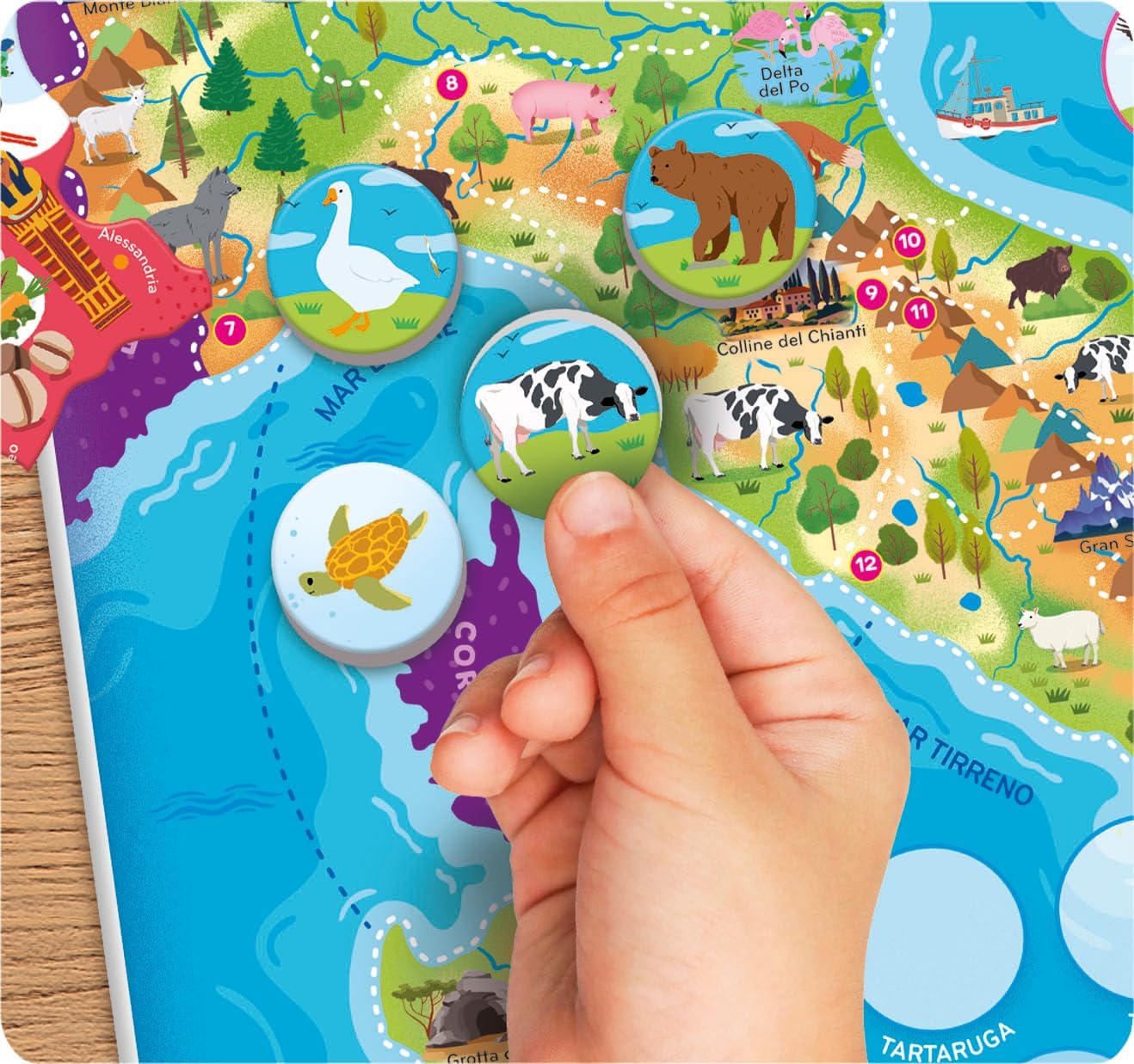 Clementoni Italia Puzzle Magnetico Gioco Educativo 4 in 1 con Mappa dell’Italia