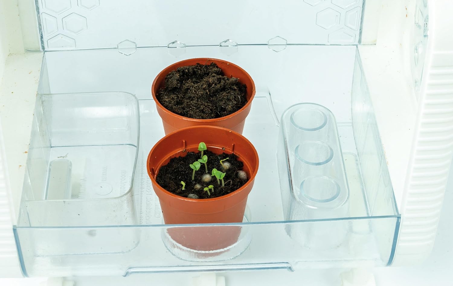 Clementoni BOTANICA HITECH