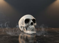 Teschio Decorativo in Plastica 8 cm | Decorazione Halloween Realistica per Casa