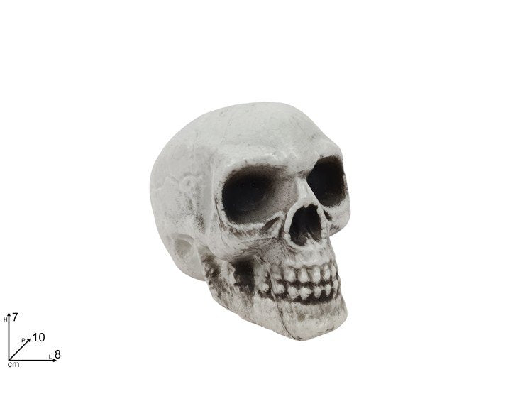 Teschio Decorativo in Plastica 8 cm | Decorazione Halloween Realistica per Casa