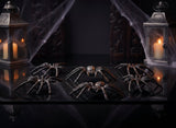 Ragni Finti Halloween 6 Pezzi Decorazioni Spaventose per Festa o Casa