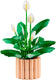 files/magBMaxRosatiWebeGraphicDesignsncdiMassimili_44111-203664-22e48d2ad79694b1af11bf0bf3e3fe2b_white.jpg