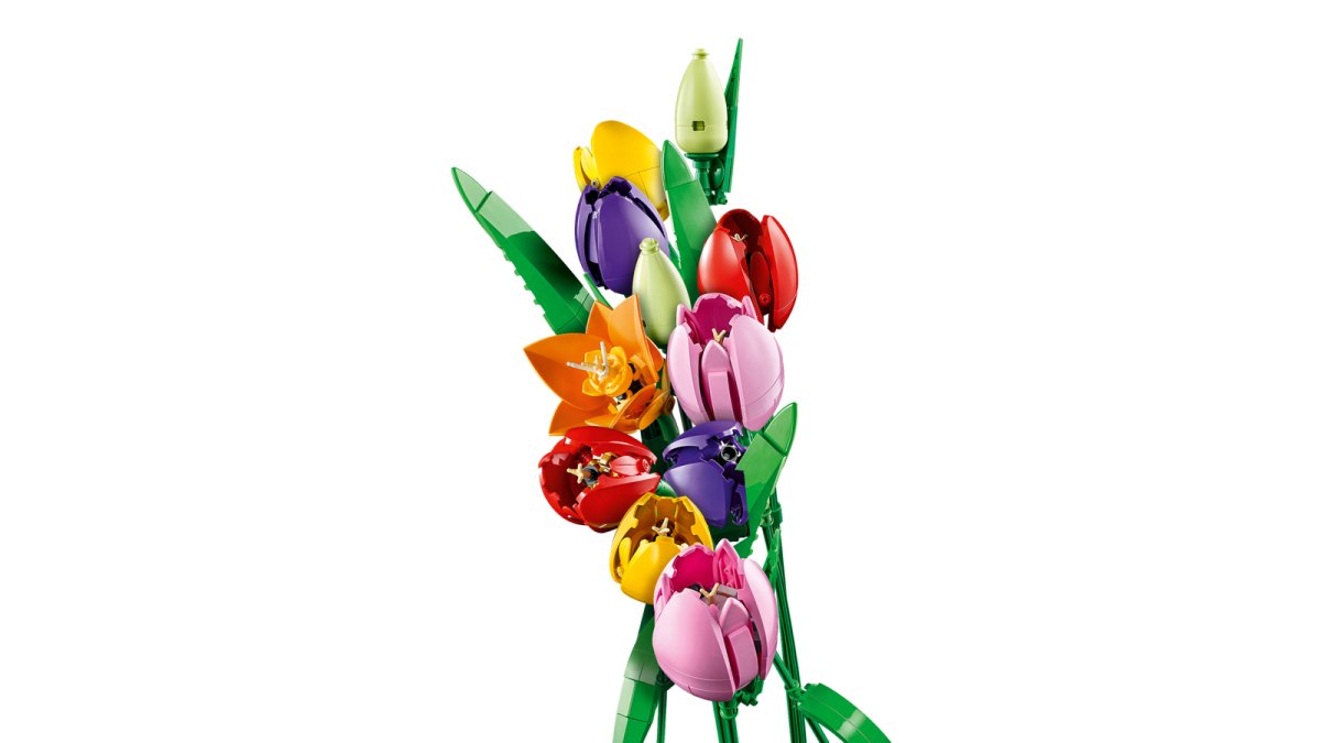 11501 LEGO Botanicals Bouquet di tulipani