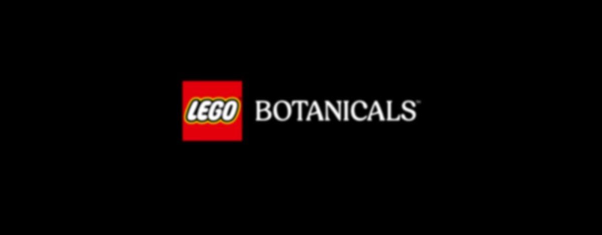 11501 LEGO Botanicals Bouquet di tulipani