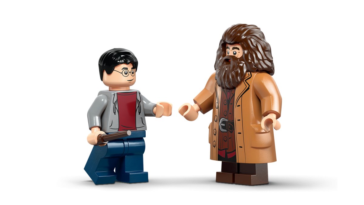 76459 LEGO Harry Potter TM Fuga da Privet Drive di Hagrid™ e Harry