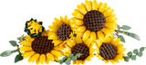 11502  LEGO Botanicals  Bouquet di Girasoli